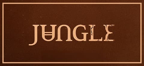 Jungle - World Tour 2027